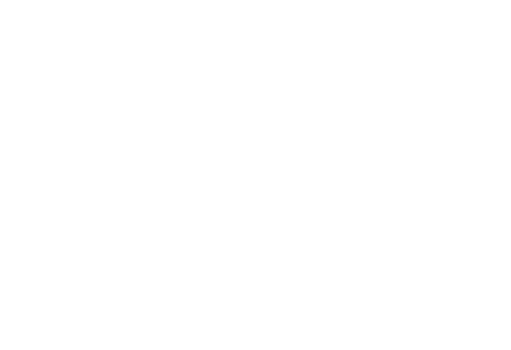 Lake Michigan White Logo