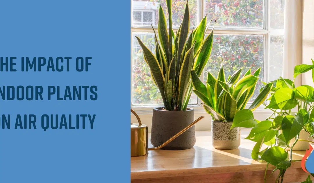 The Impact of Indoor Plants on Air Quality and HVAC Efficiency