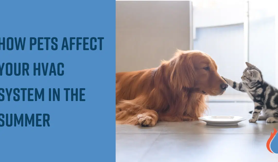 How Pets Affect Your HVAC System in the Summer
