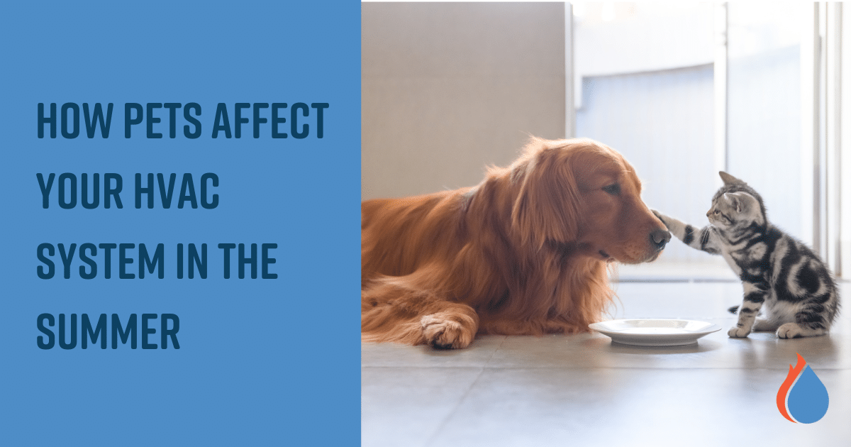 How Pets Affect Your HVAC System in the Summer